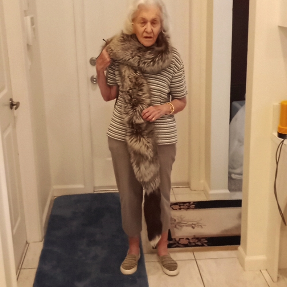 Silver Fox Stole